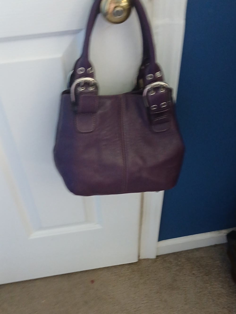 Tignanello Purple Leather Mini Shoulder Bag with Silver Hardware